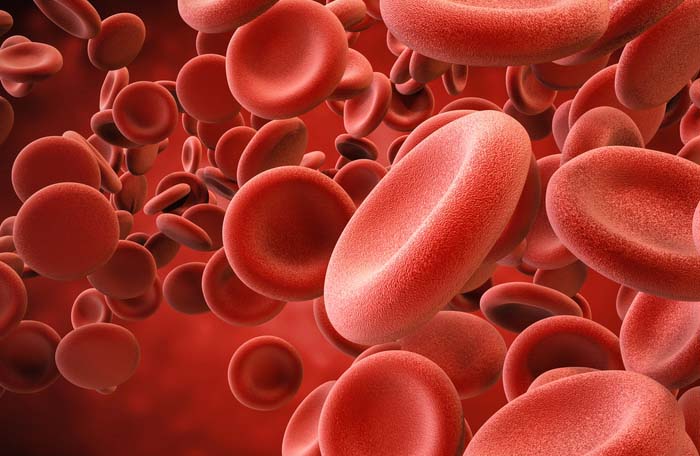 Microscopic photo of cells dyed red