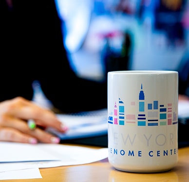 A mug showing the NYGC logo on a conference table
