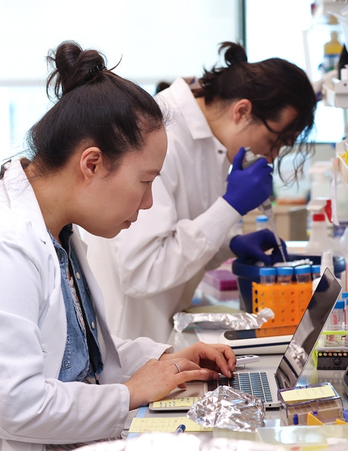 Faculty scientists at NYGC work side by side at a lab bench