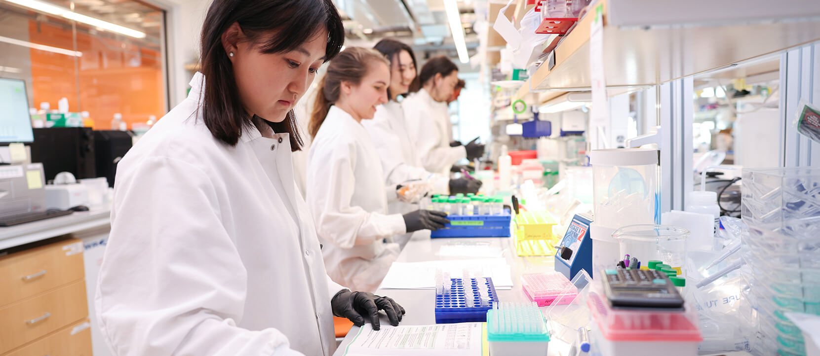 Four scientists work at a lab bench at NYGC