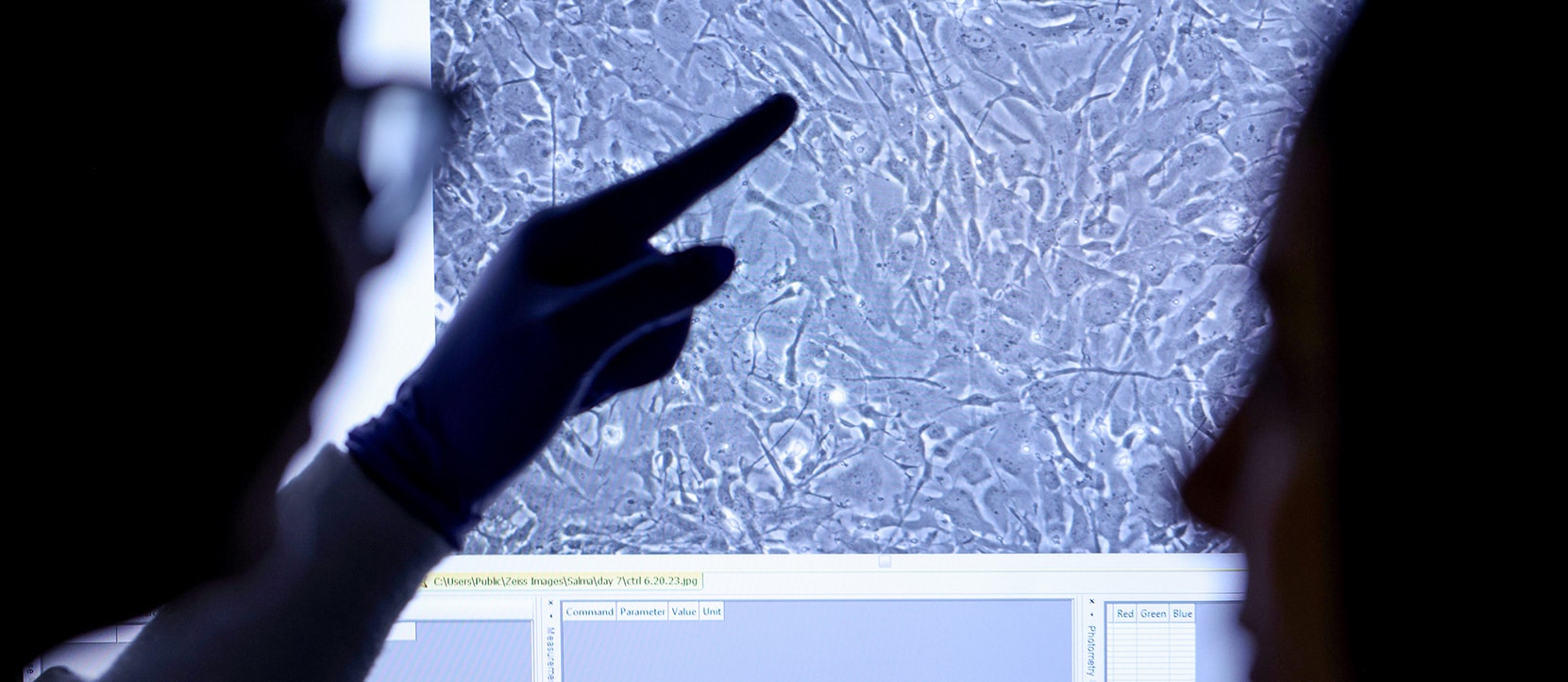 A scientist points at a microscope image